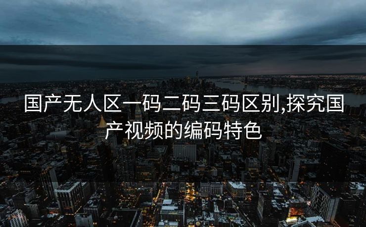 国产无人区一码二码三码区别,探究国产视频的编码特色