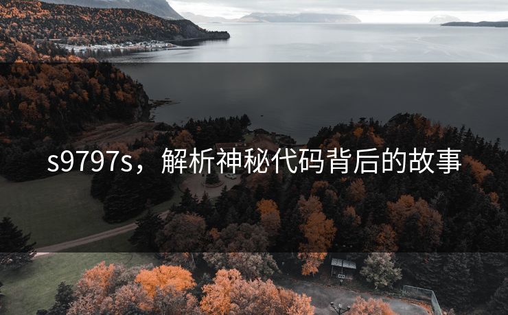 s9797s，解析神秘代码背后的故事