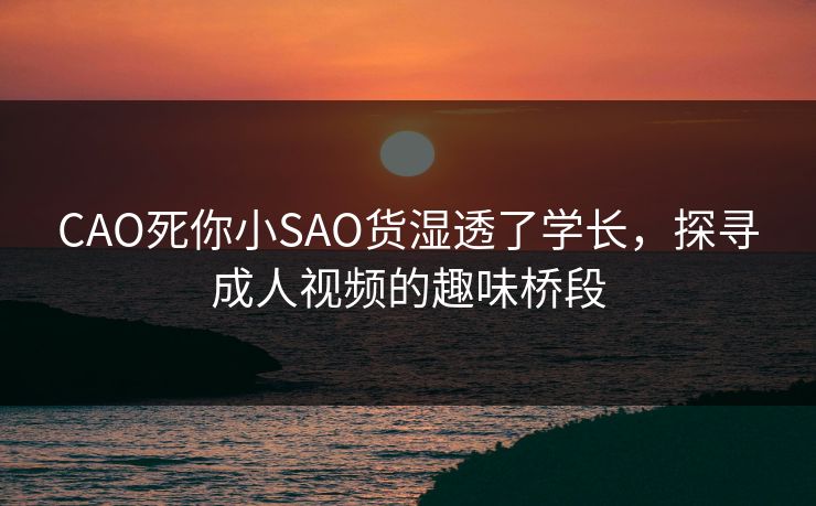 CAO死你小SAO货湿透了学长，探寻成人视频的趣味桥段