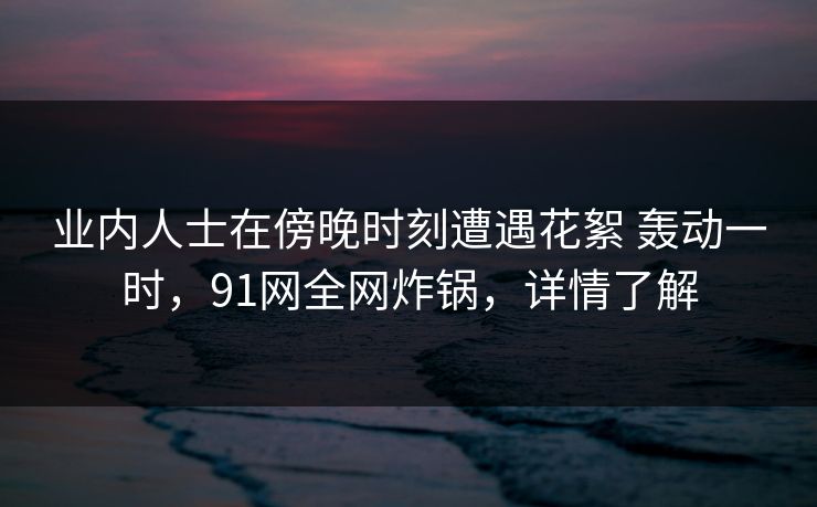 业内人士在傍晚时刻遭遇花絮 轰动一时，91网全网炸锅，详情了解