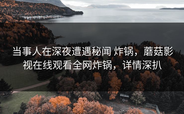 当事人在深夜遭遇秘闻 炸锅，蘑菇影视在线观看全网炸锅，详情深扒