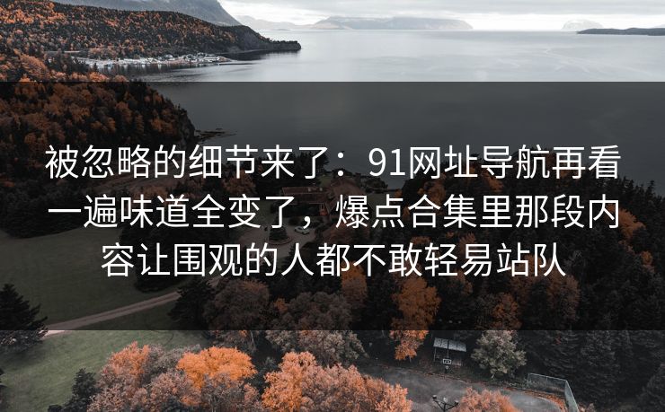 被忽略的细节来了：91网址导航再看一遍味道全变了，爆点合集里那段内容让围观的人都不敢轻易站队