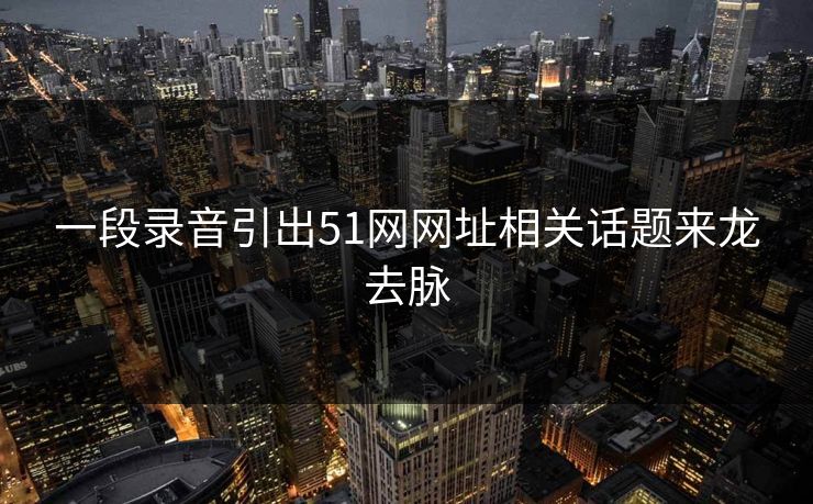 一段录音引出51网网址相关话题来龙去脉